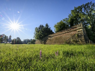 Stadtmauer Bad Radkersburg