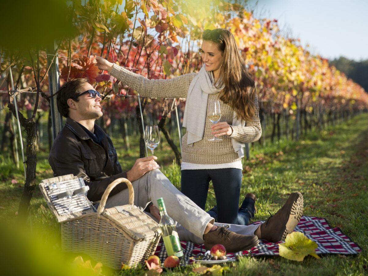 Picknick im Weingarten