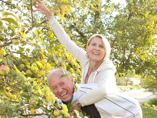 Mitten im Obstgarten