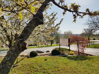 Blühender Leitersdorfberg