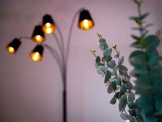 Katzianer Beleuchtung