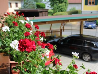 Überdachter Parkplatz