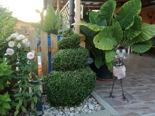 Großzügiger Garten