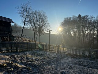 IMG_8650