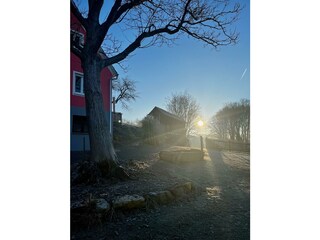 IMG_8648