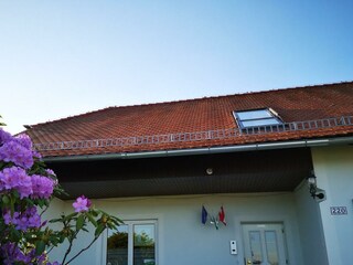 Aparthotel Goldener Hahn Apartments 8271