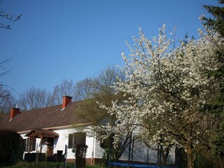 Landhaus Leitersdorf im Frühling