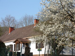 Das Ferienhaus im Frühling