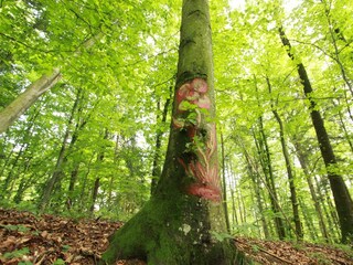 Kunstpanoramaweg in voller Kraft