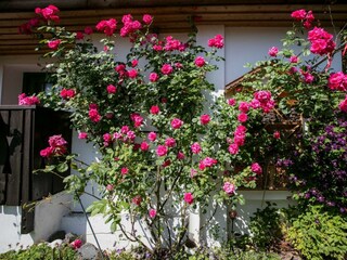 Romantikstöckl Altes Gehöft Steiermark