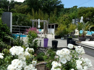 pool and terrace view