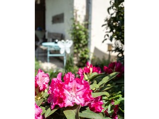 20220511-DSCF2729