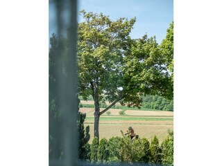 20220511-DSCF2686