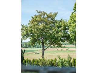 20220511-DSCF2682