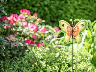 20220511-DSCF2734