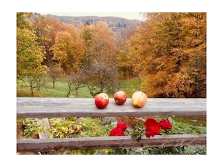 Herbstausblicke