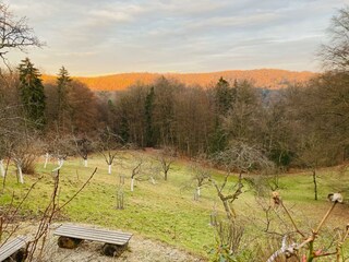 Herbstausblicke