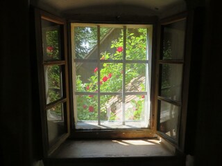 Blick aus dem Fenster