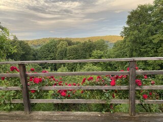 Sommerausblick