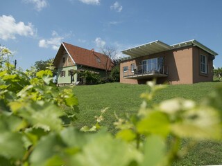 Ferienhäuser im Weingarten