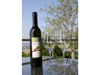 Weinpatenschaft Sauvignon blanc