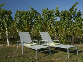 im Weingarten