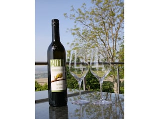 Weinpatenschaft Sauvignon blanc