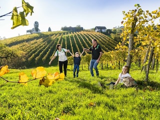 Weinwandern Region Bad Radkersburg