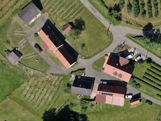 DJI_0638