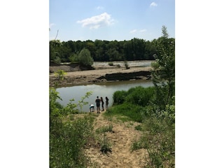 Spaziergang in der Murau