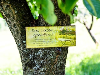 spruch