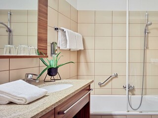 DZ Mandira Standard1