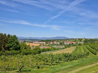 Ayurveda Resort Mandira - Aussenansicht Sommer