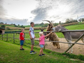 PhehbsBA.jpeg - Kopie