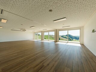 Klein-Holland Der Raum