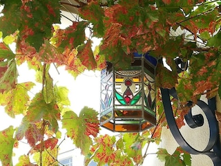 Klein-Holland Weinlaube