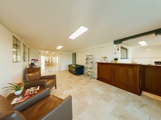 Klein-Holland Rezeption