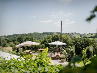 Terrasse Weingut Pfeifer