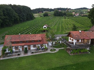 Weingartenrefugium Rosenberg Vogelperspektive