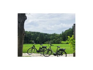 Unsere E-Bikes