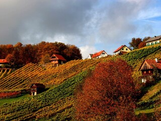 Der wunderschöne Rosenberg