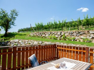 Kastanienzimmer Terrasse