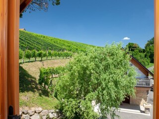 Ausblick Birnbaumzimmer
