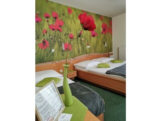 Mohnblumenzimmer mit Terrasse, gartenseitig