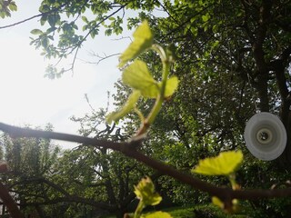 Genießen Sie die warmen Sonnenstrahlen