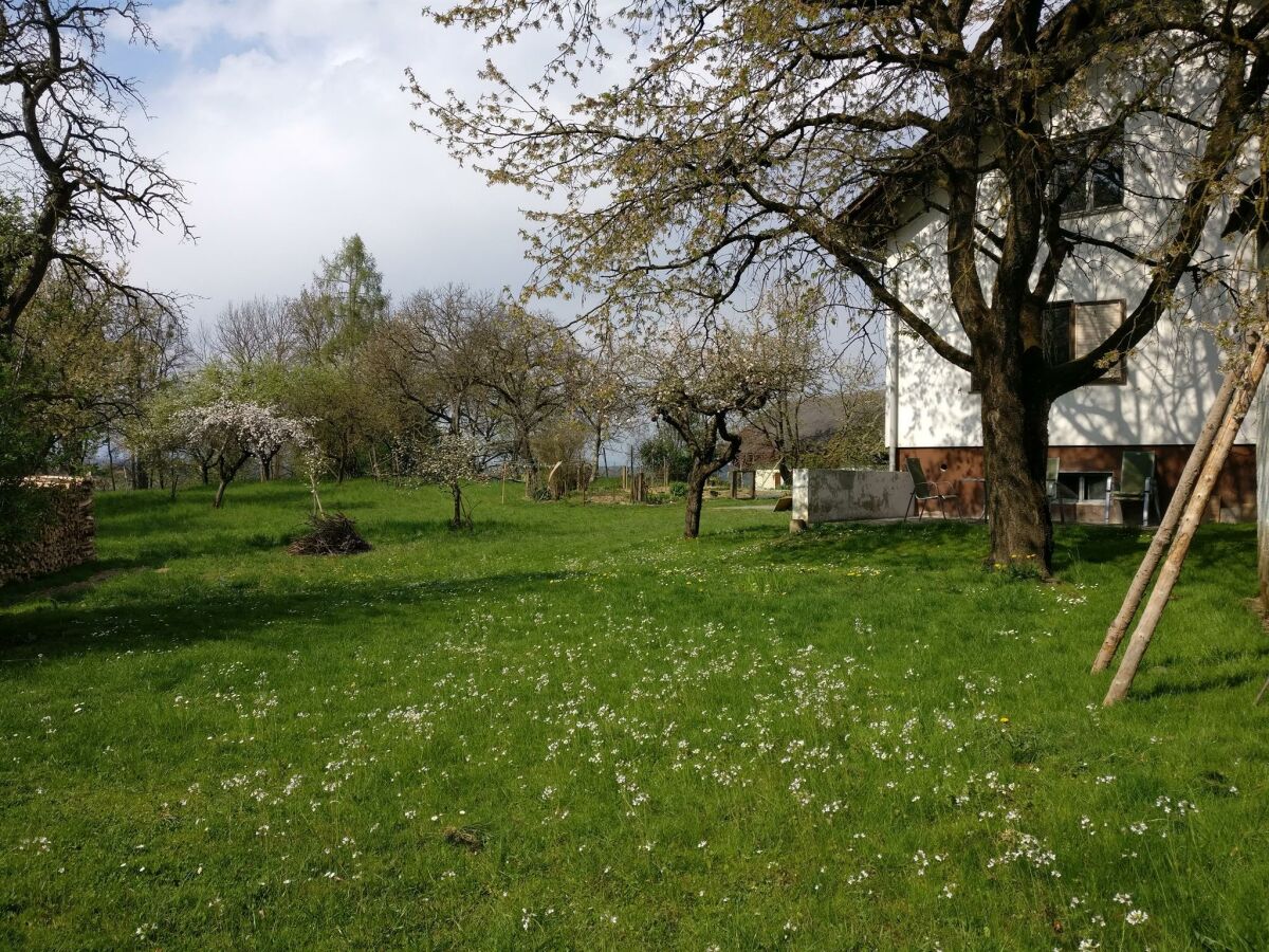 Terrasse mit Obstgarten