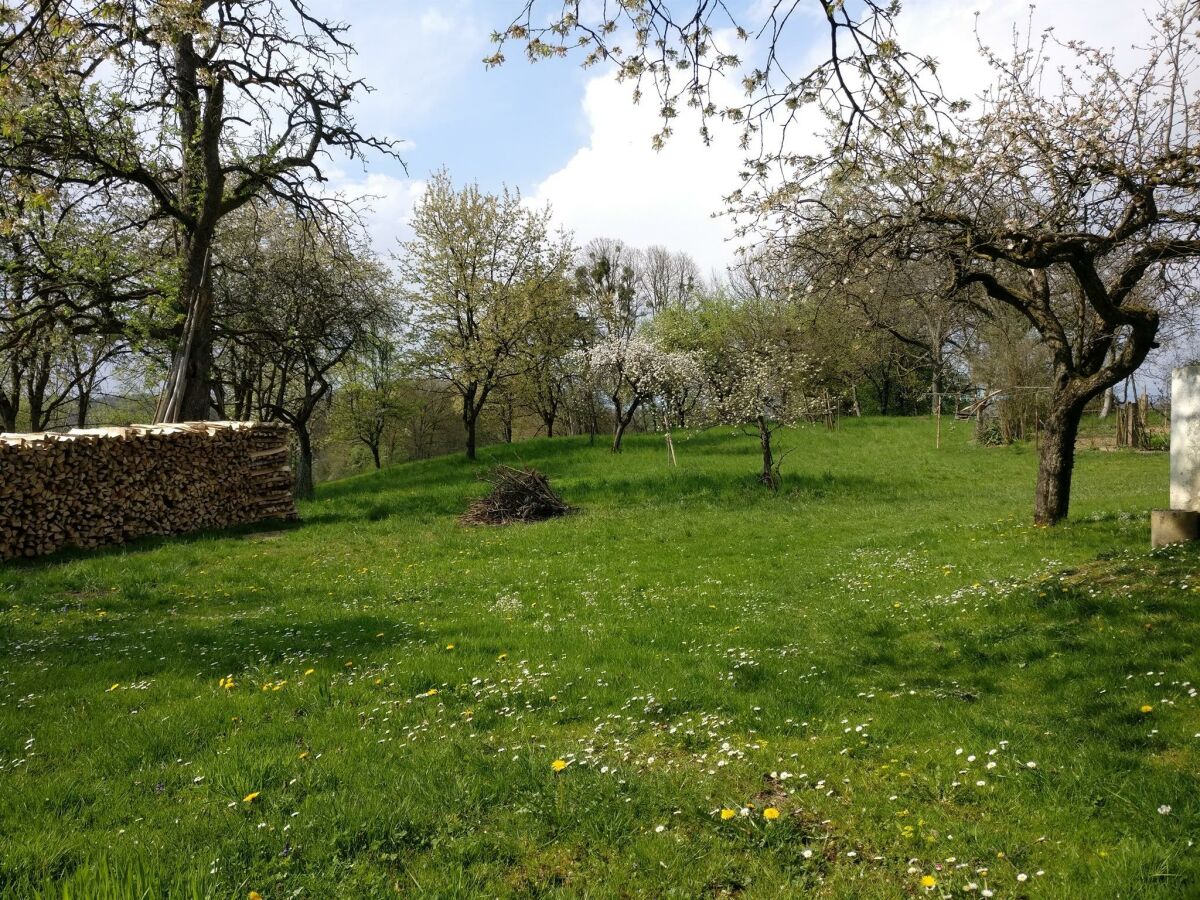 Garten Streuobstwiese