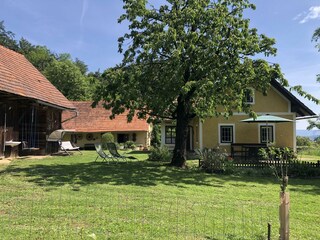 A231E441-E1AA-4A3D-B599-EE8832A3E2E2