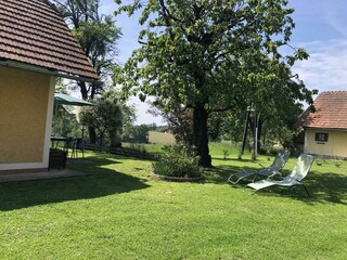 4D69F32B-1354-412F-8899-B78A776D9953