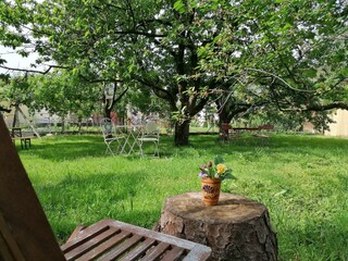 Genießen Sie unsere grüne Ruheoase